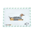 Pintail Duck Drake