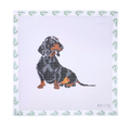 Gretel the Dachshund