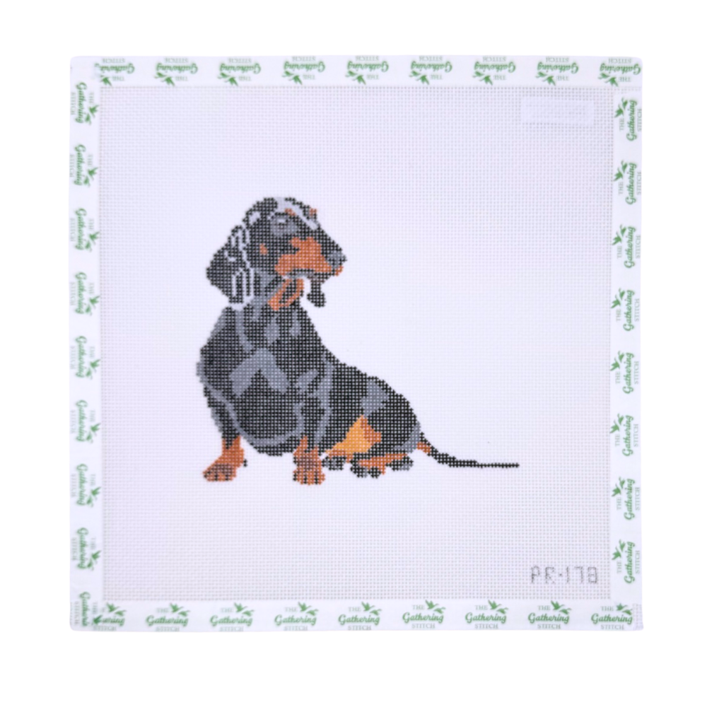 Gretel the Dachshund