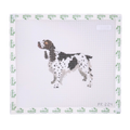 Springer Spaniel II