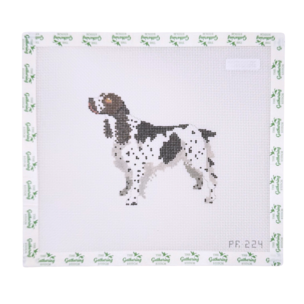 Springer Spaniel II