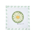 Daisy Round