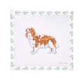 King Charles Spaniel II