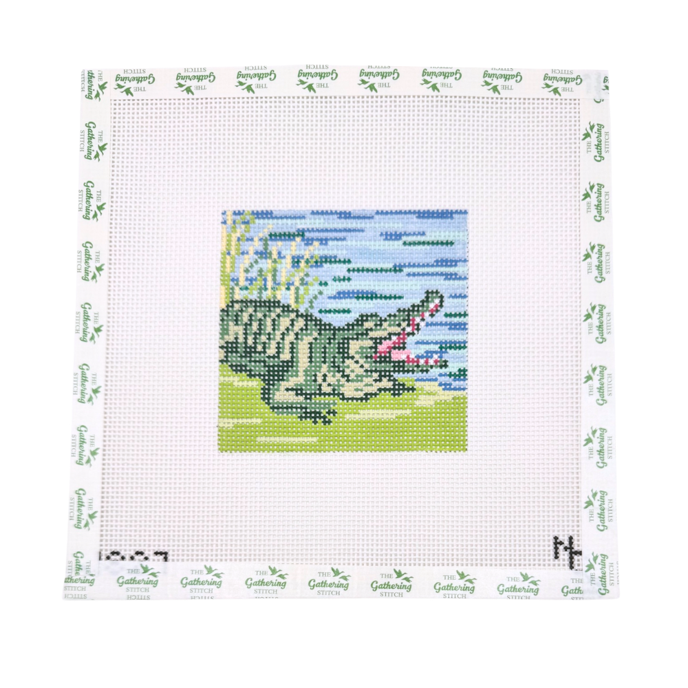 Alligator