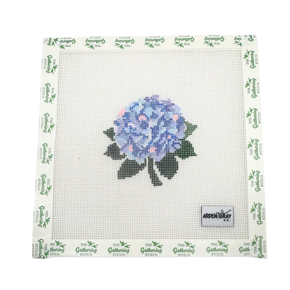 Hydrangea Bloom