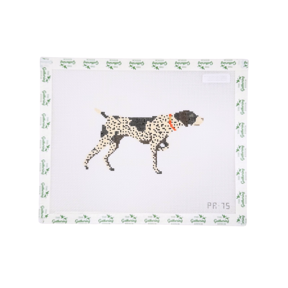 German Shorthair Pointer