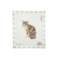 Brown Cat