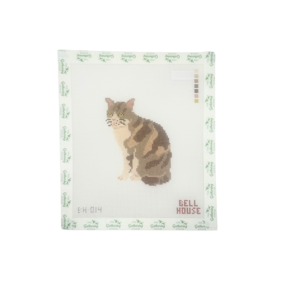 Brown Cat