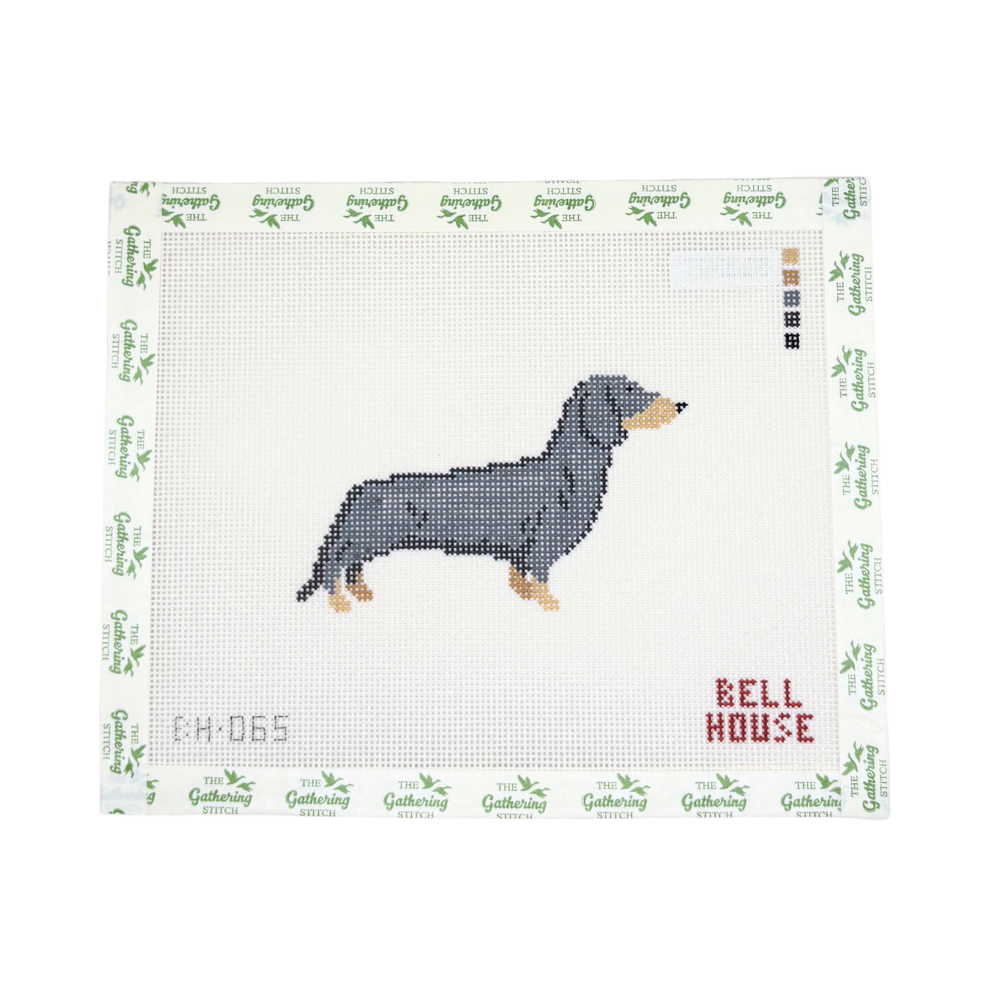 Dachshund Black and Tan Standing