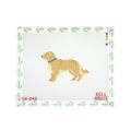 Gold Retriever Standing