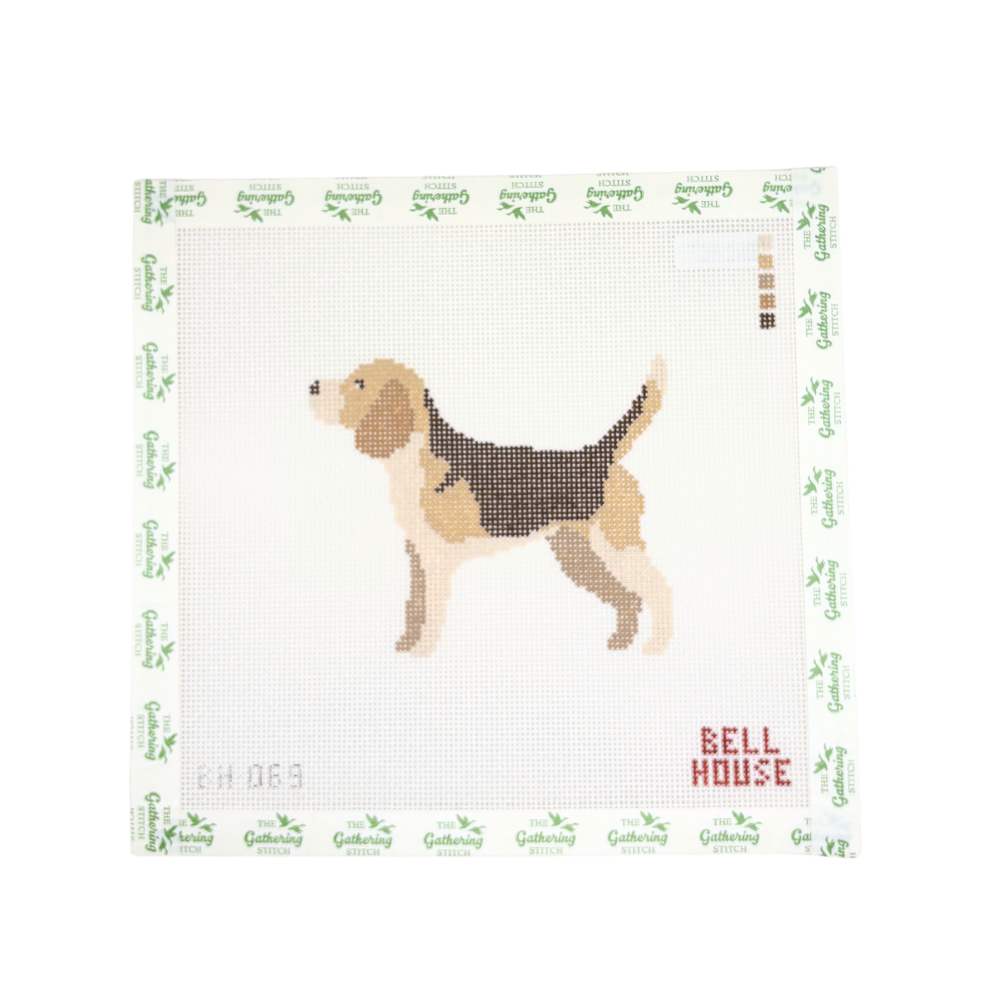 Hound Dog Standing