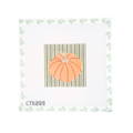 Striped Pumpkin