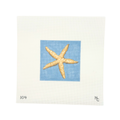 Starfish