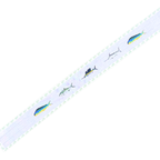 Saltwater Fish - long version