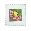 Gold Finch on Cherry Blossomes
