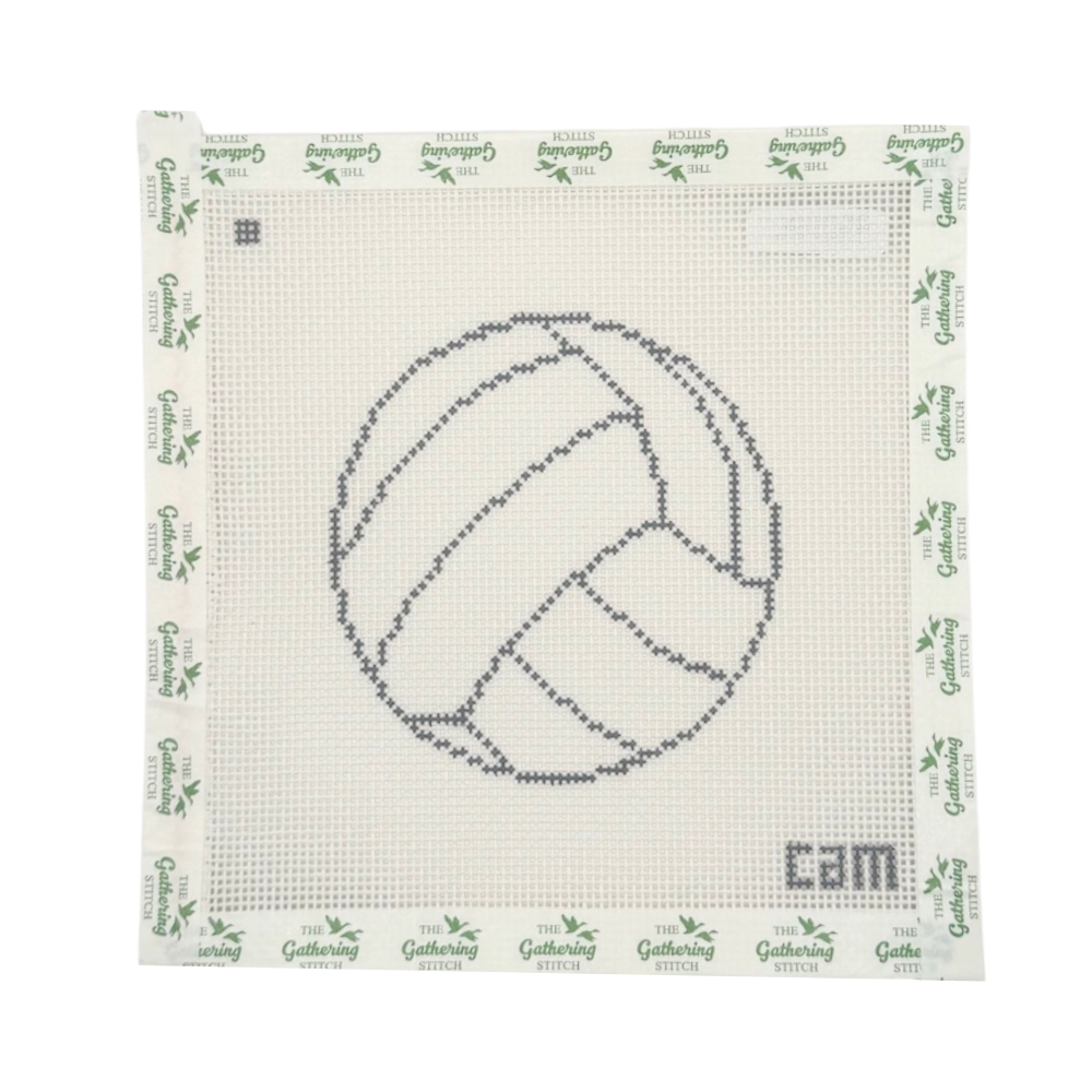 Volley Ball