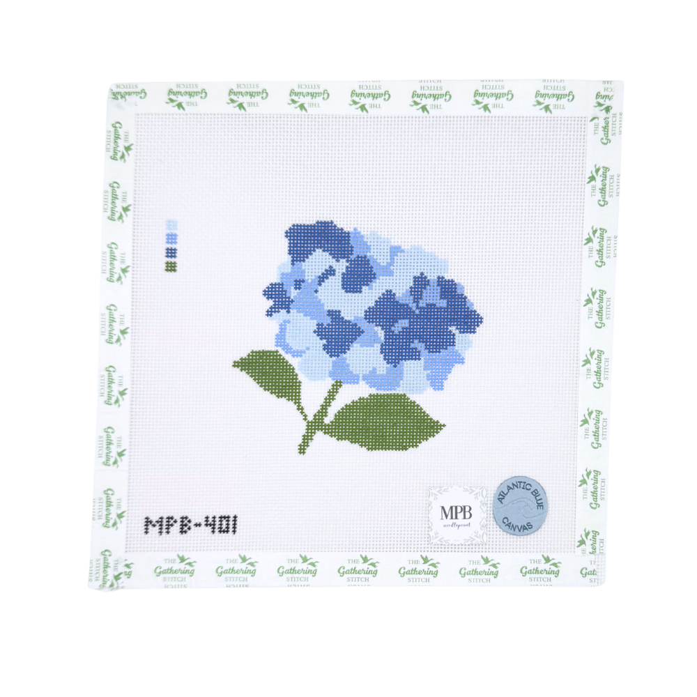 Hydrangea - single